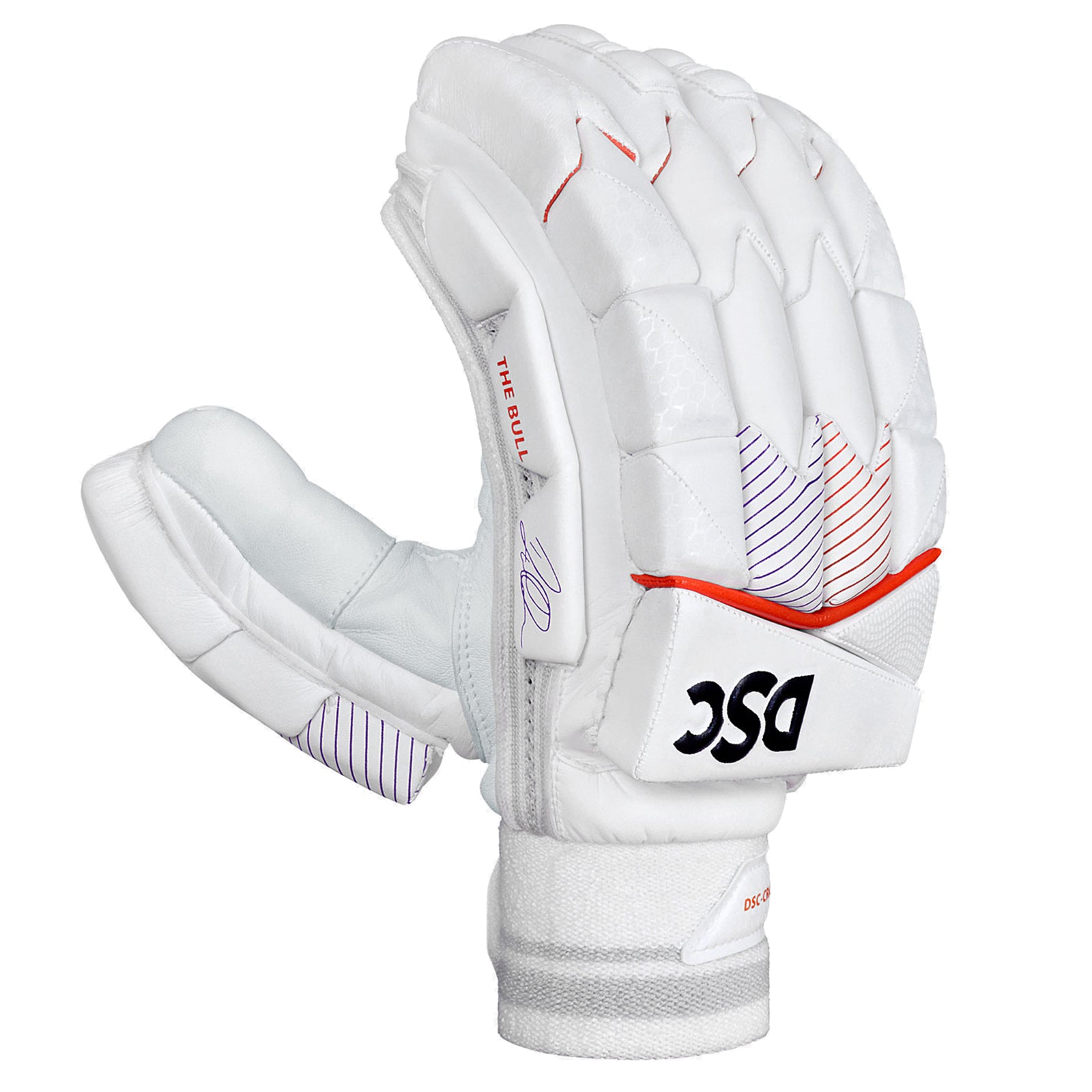 DSC Krunch Bull Autograph Cricket Batting Gloves - Youth