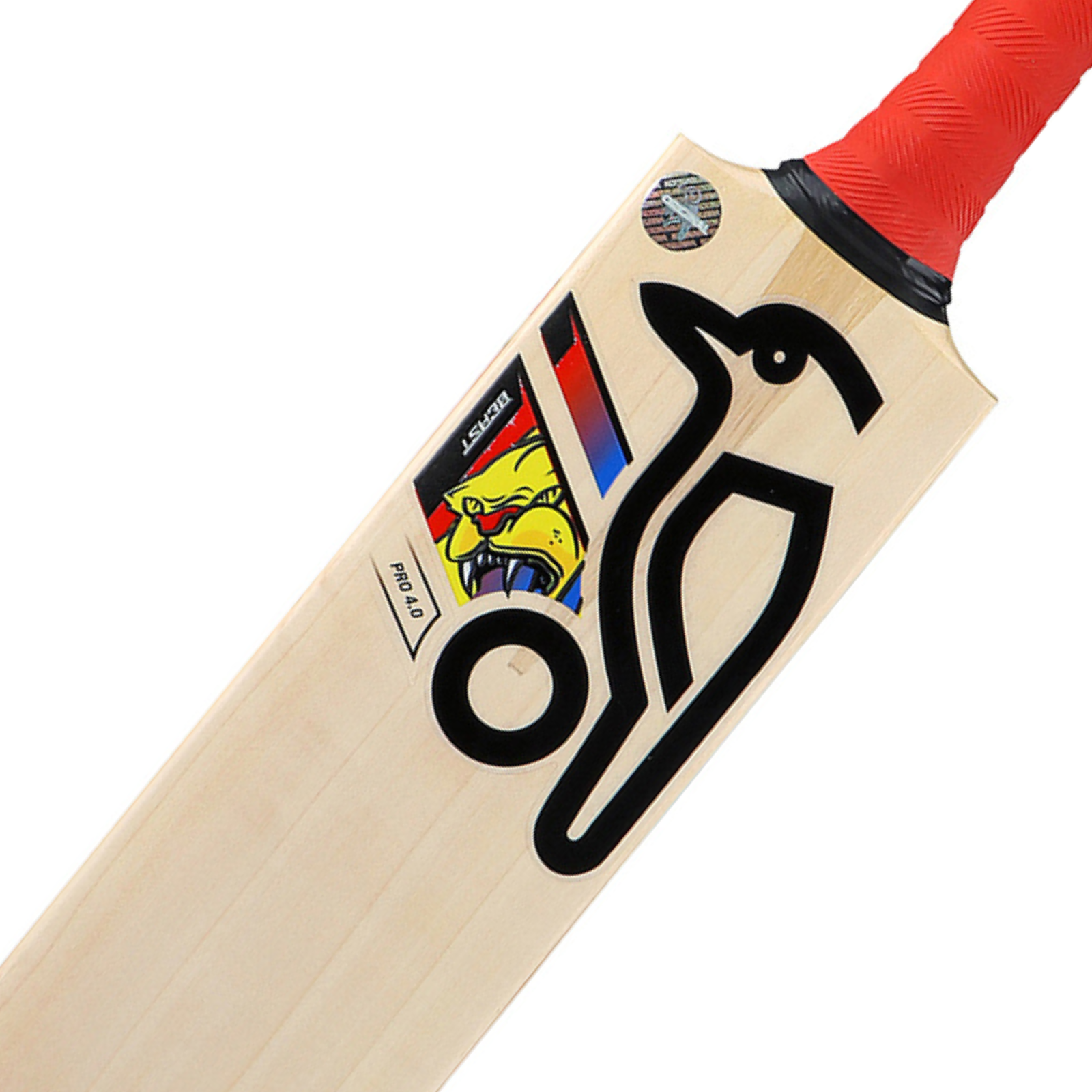 Kookaburra Beast Pro 4.0 Cricket Bat - Senior