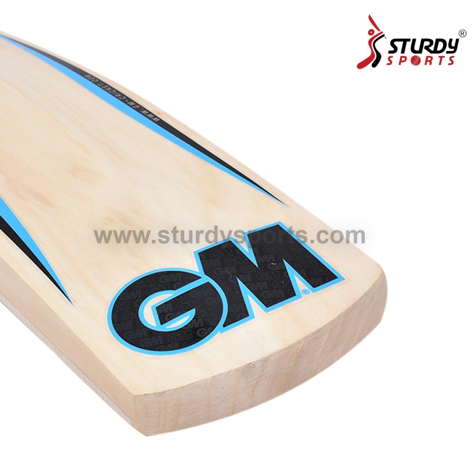 Gunn & Moore GM Neon Striker Kashmiri Willow Cricket Bat - Size 5