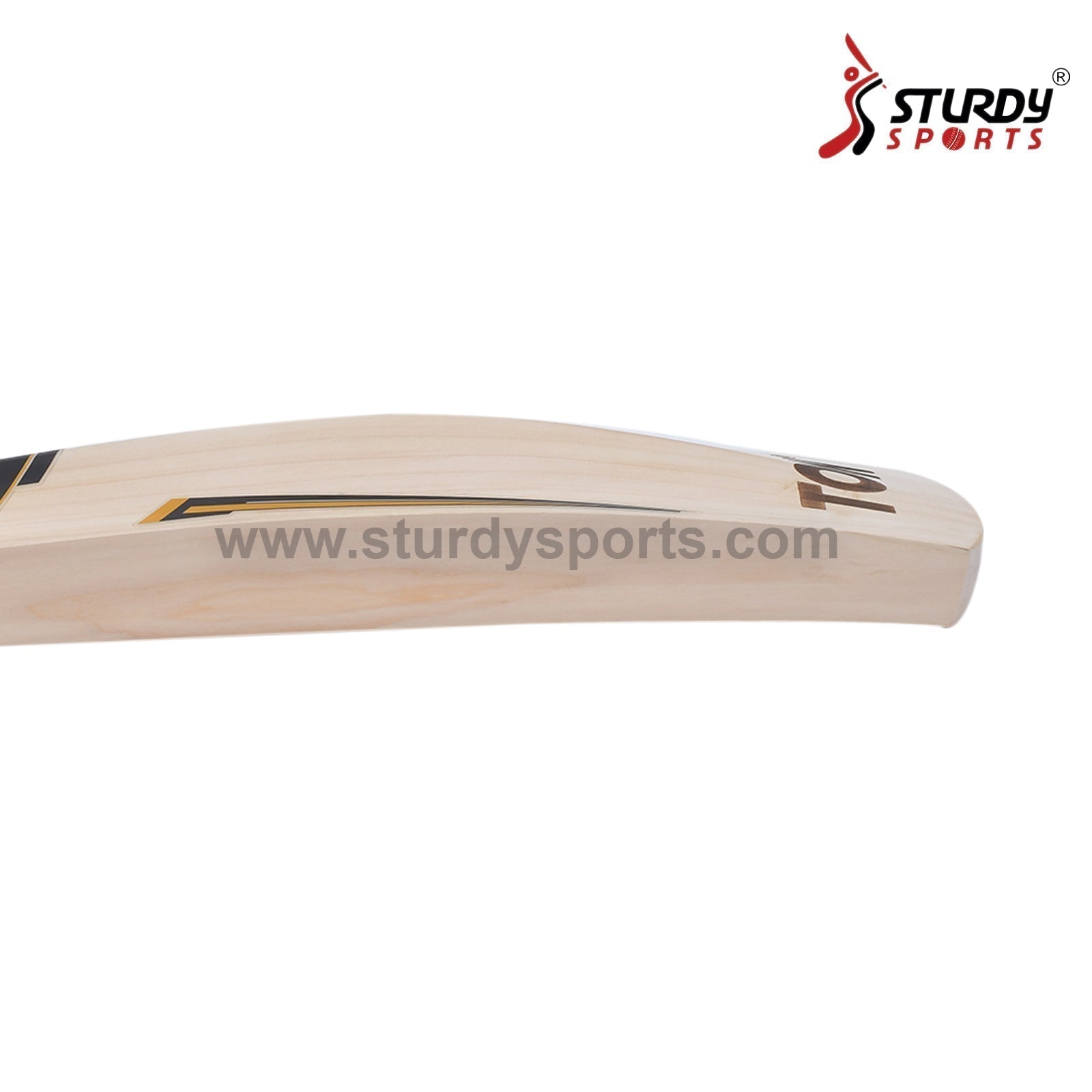 SS GG Smacker Players Cricket Bat - Senior