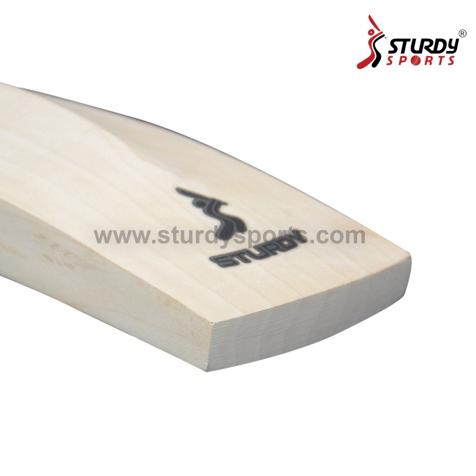 Sturdy Kashmiri Willow Bat - Adult