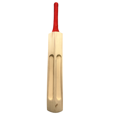 Sturdy Painted Scoop Tennis Cricket Bat