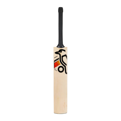 Kookaburra Diablo Pro 5.0 Cricket Bat - Adult