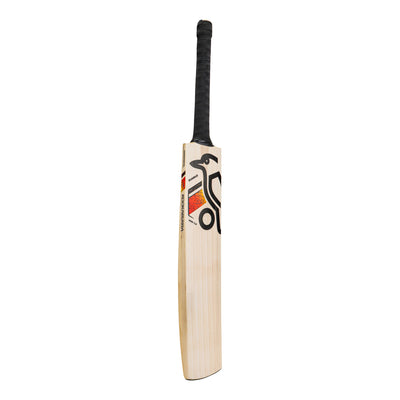 Kookaburra Diablo Pro 7.0 Junior Cricket Bat - Harrow