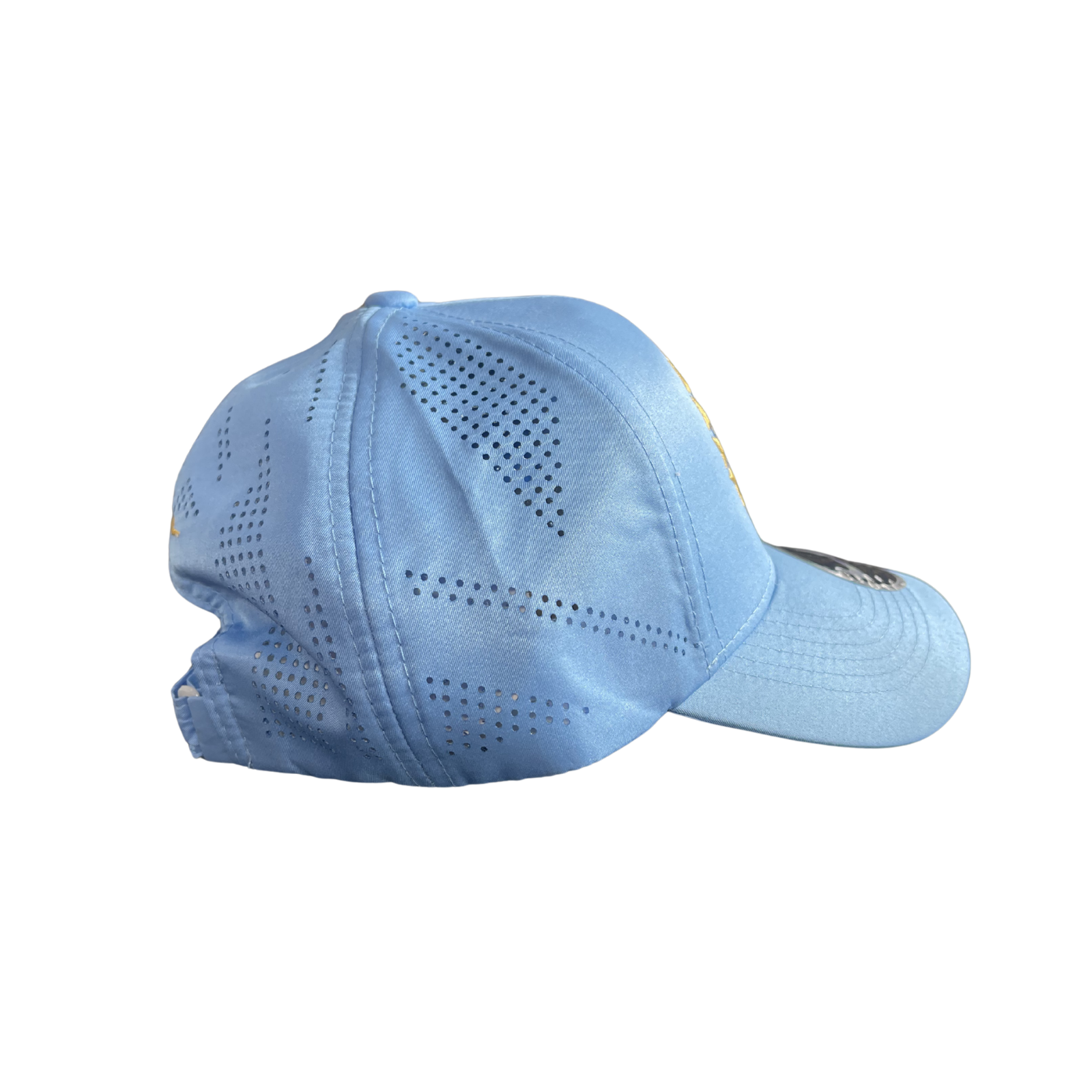 Nike India Replica Cap