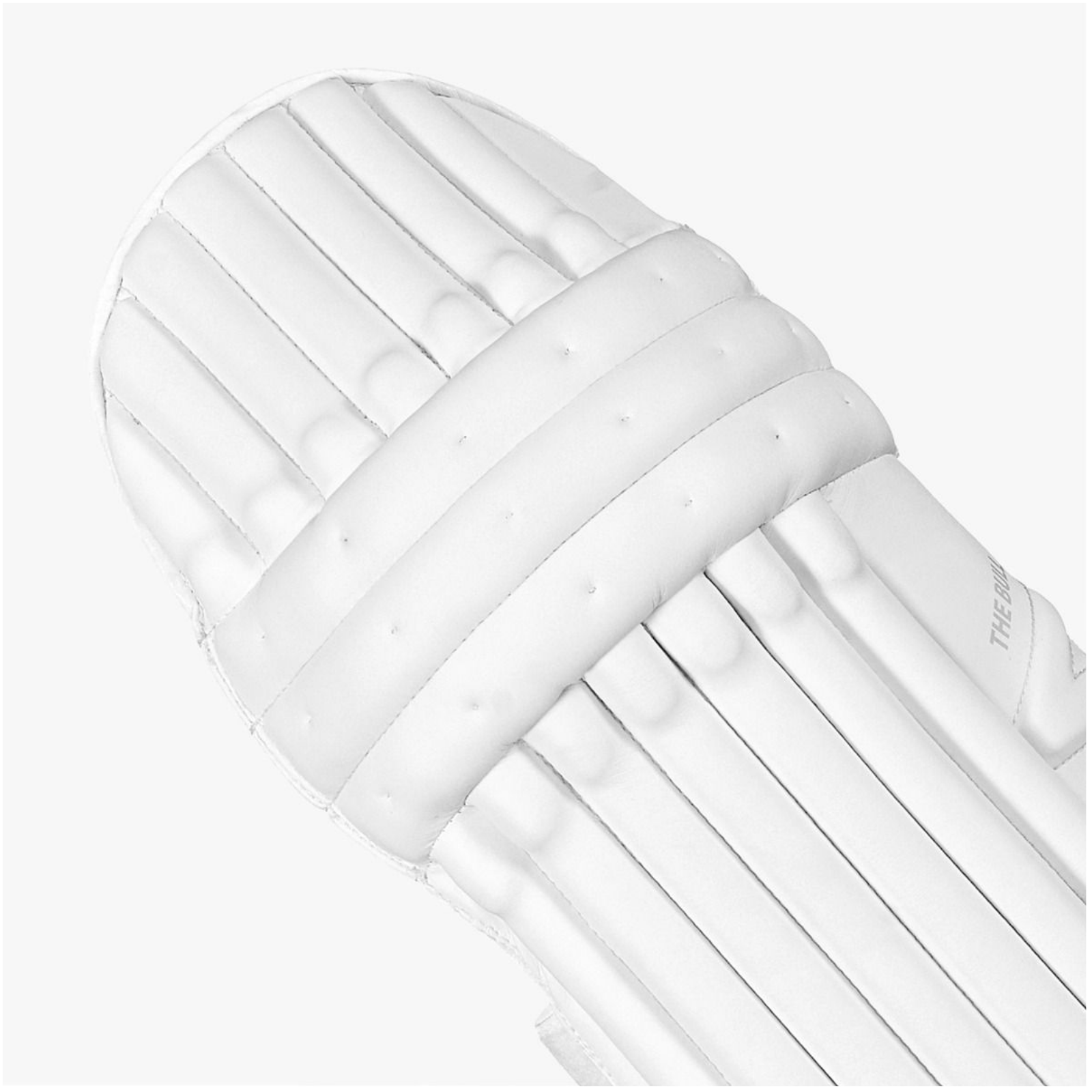 DSC Krunch The Bull Autograph Cricket Batting Legguard - Youth
