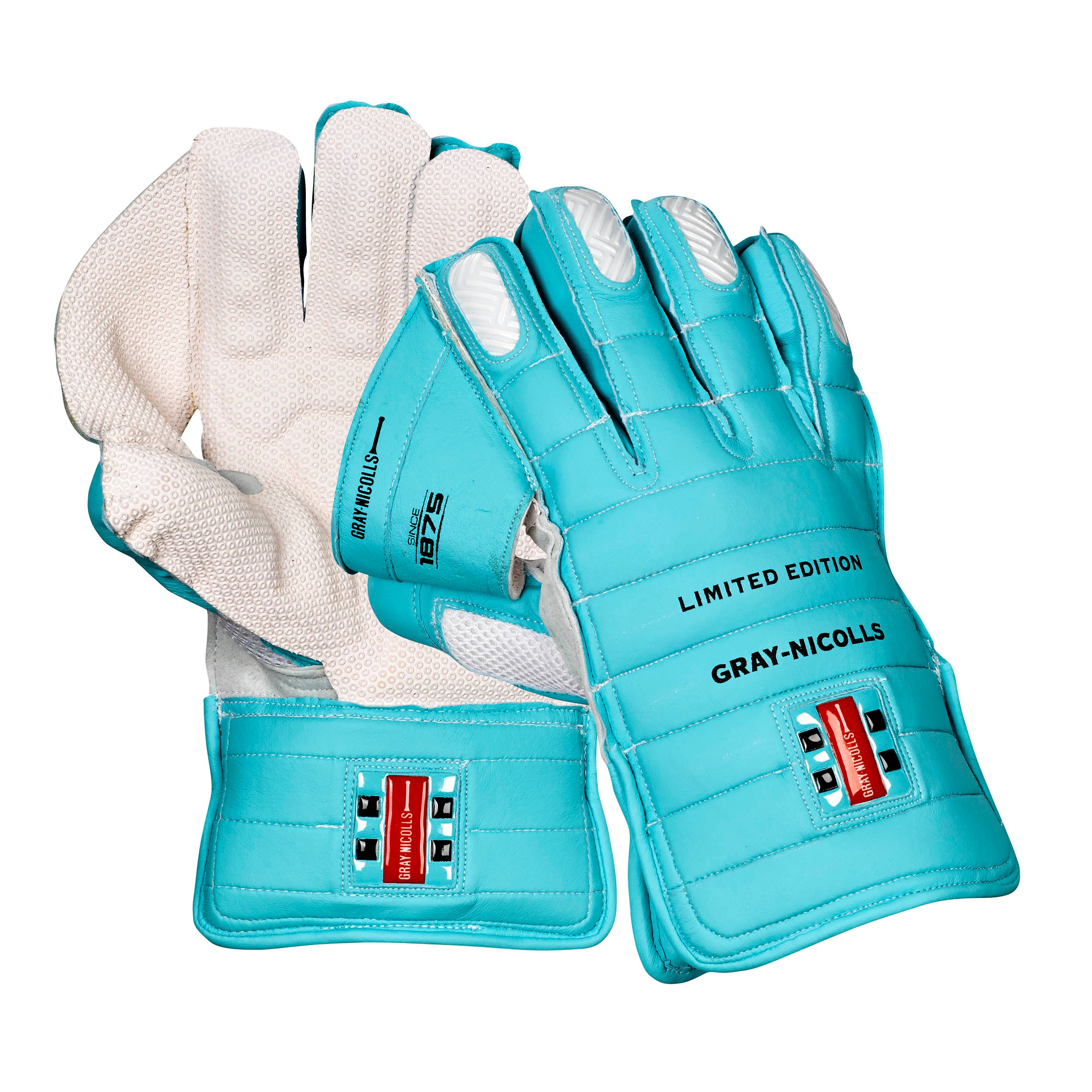 Gray Nicolls Limited Edition Light Blue Wicket Keeping Gloves - Youth