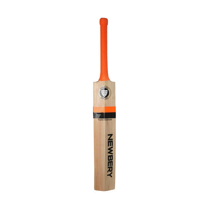 Newbery Master 100 Player Cricket Bat - Small Adult