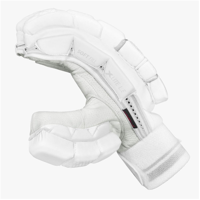 DSC Xlite Limited Edition Cricket Batting Gloves - Youth