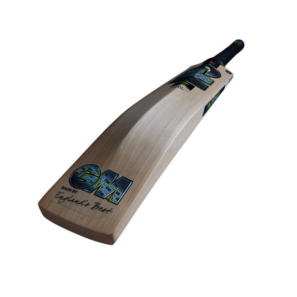 Gunn & Moore Aion L555 DXM Signature TTNOW Cricket Bat - Academy