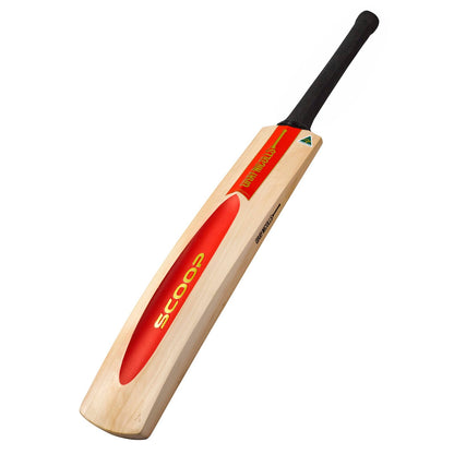 Gray Nicolls Scoop 50th Anniversary (5 Star) Cricket Bat - Senior