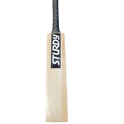 Sturdy Special Catch Practice Bat - Foam