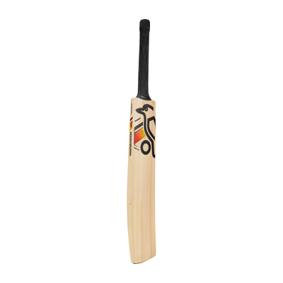 Kookaburra Diablo Pro 8.1 Kashmiri Willow Cricket Bat - Small Adult