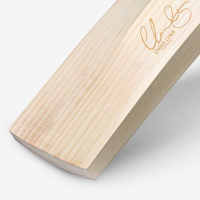 DSC Pearla Player Edition Junior Cricket Bat - Size 5