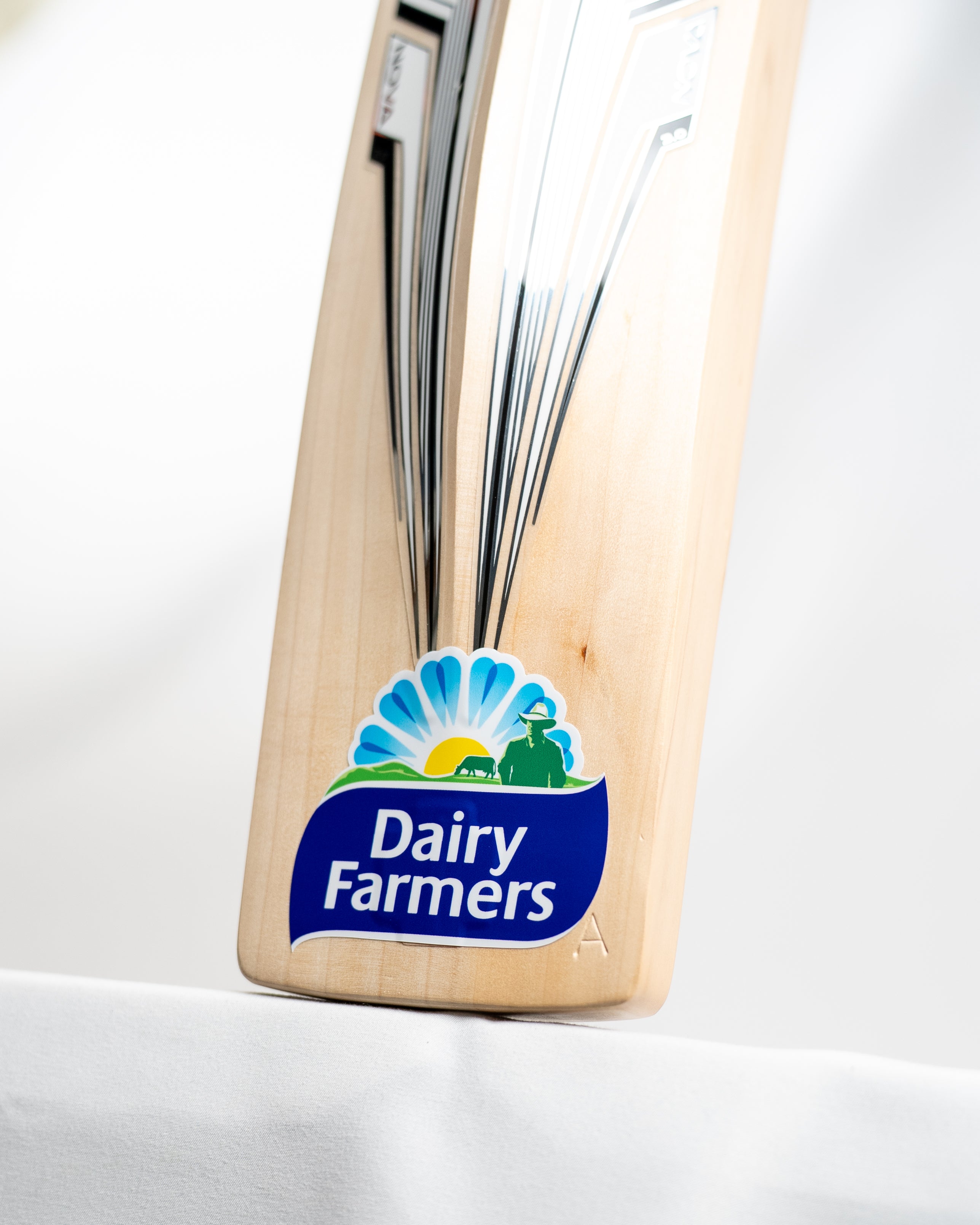 Gray Nicolls Nova Travis Head TH123 Replica Cricket Bat - Senior