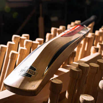 Gray Nicolls Legend Junior Cricket Bat - Size 6