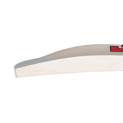 MRF Chase Master Cricket Bat - Small Adult