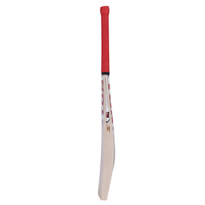 TON Gold Edition Cricket Bat - Senior
