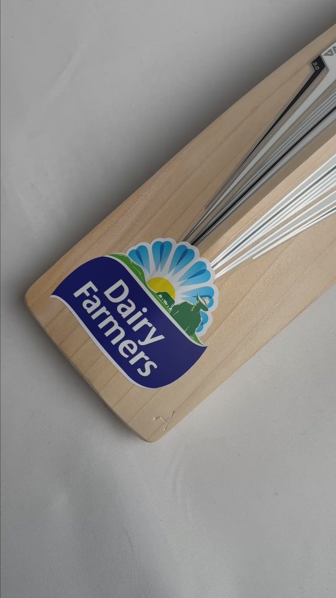 Load video: Gray Nicolls Nova Travis Head TH123 Replica Cricket Bat - Senior