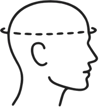 head circumference diagram