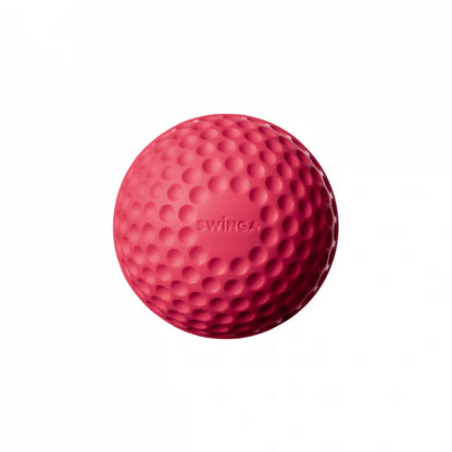 Swinga Technique Ball 156G