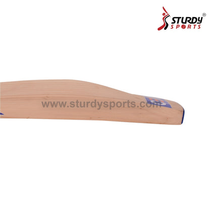 Ceat Gripp Master Cricket Bat - Senior