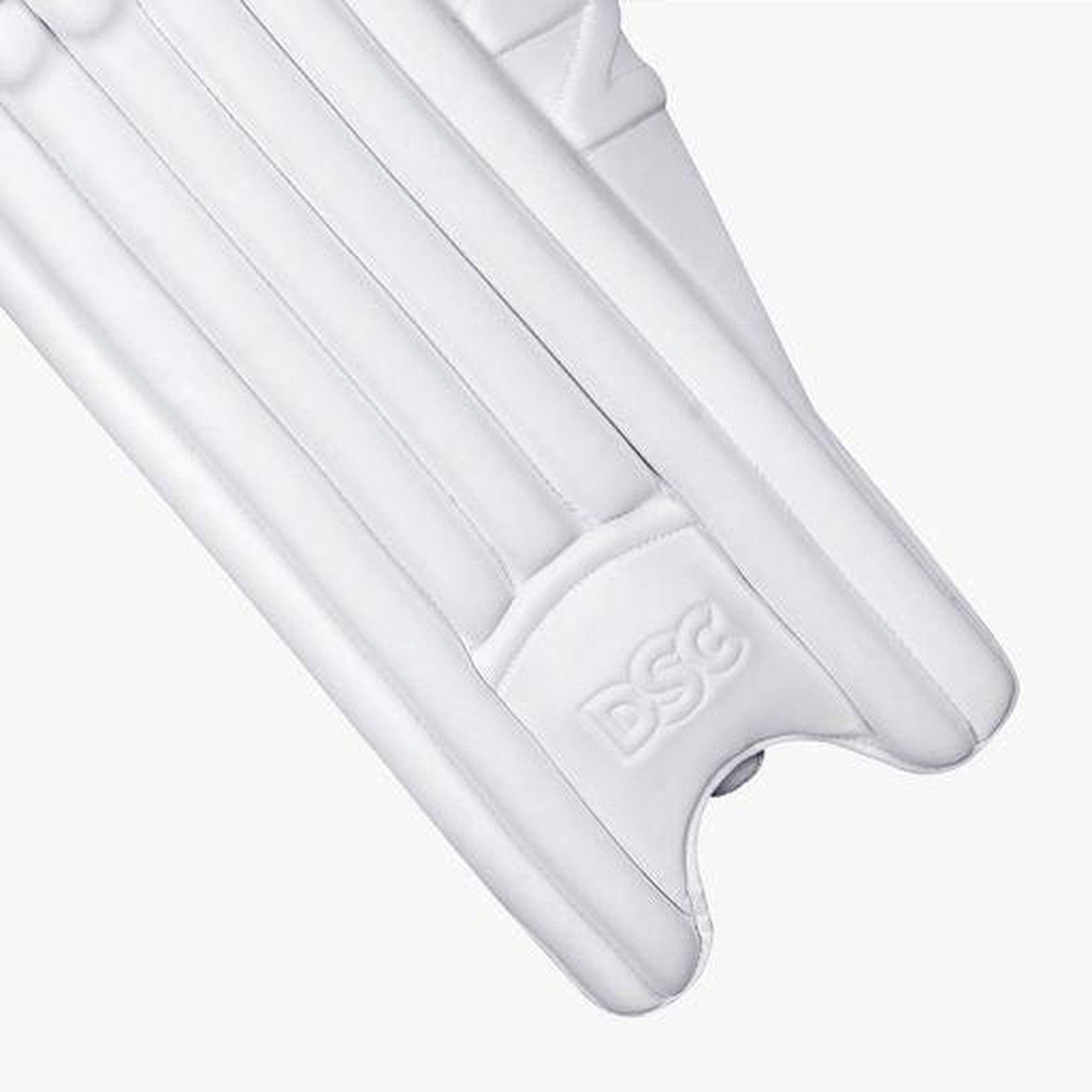 DSC The Bull Autograph Batting Pads - Senior