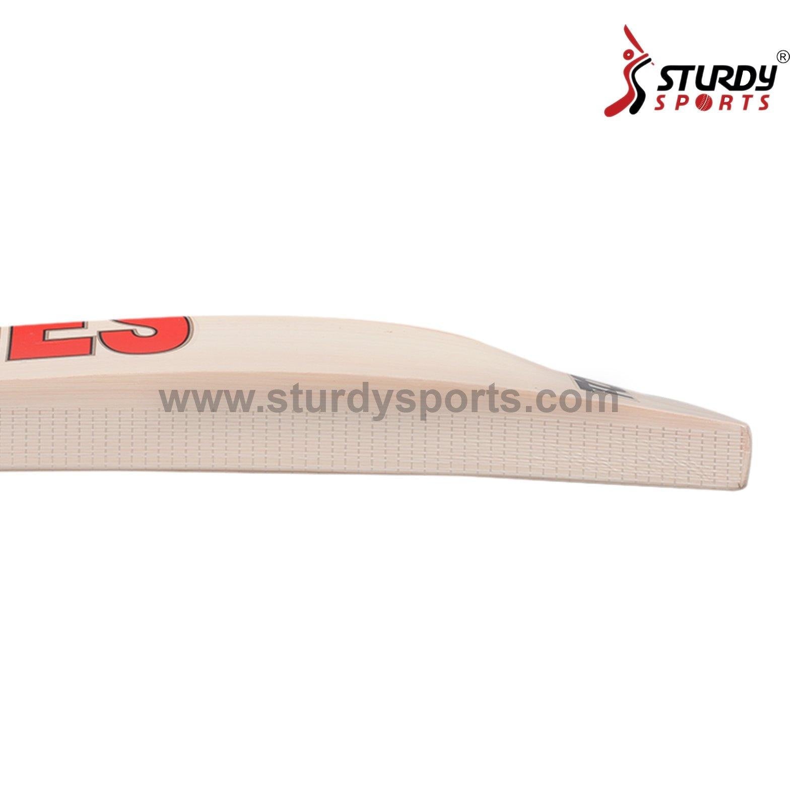 SS Ton Colt Cricket Bat - Size 1