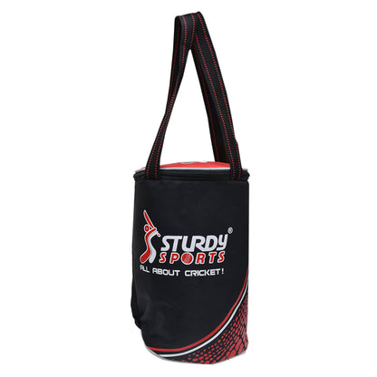 Sturdy Coach Ball Bag