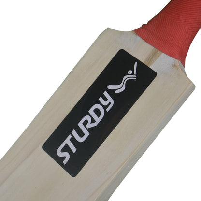 Sturdy Plain Autograph Bats