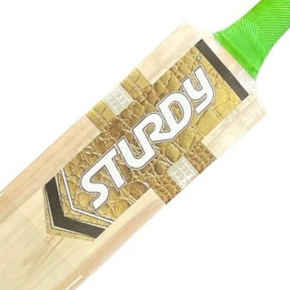 Sturdy Pro Scoop Indoor Bat