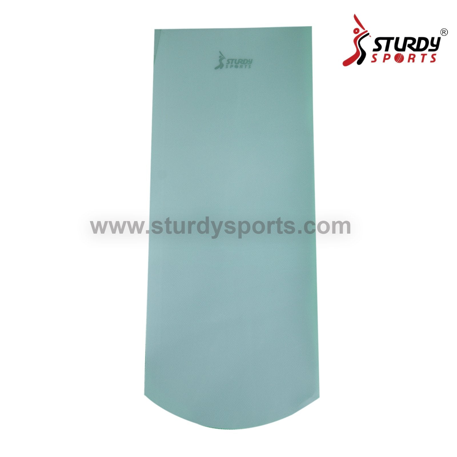 Sturdy Clear Face Bat Protection Sheet – Sturdy Sports